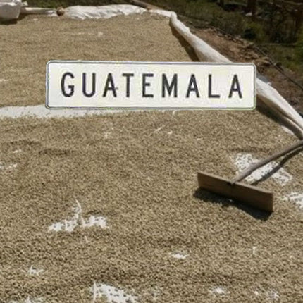 Guatemala Huehuetenango Coffee