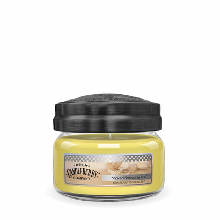 Beach Collection - Shaved Pineapple Ice™, Small Jar Candle (Collective)