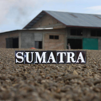 Sumatra Coffee